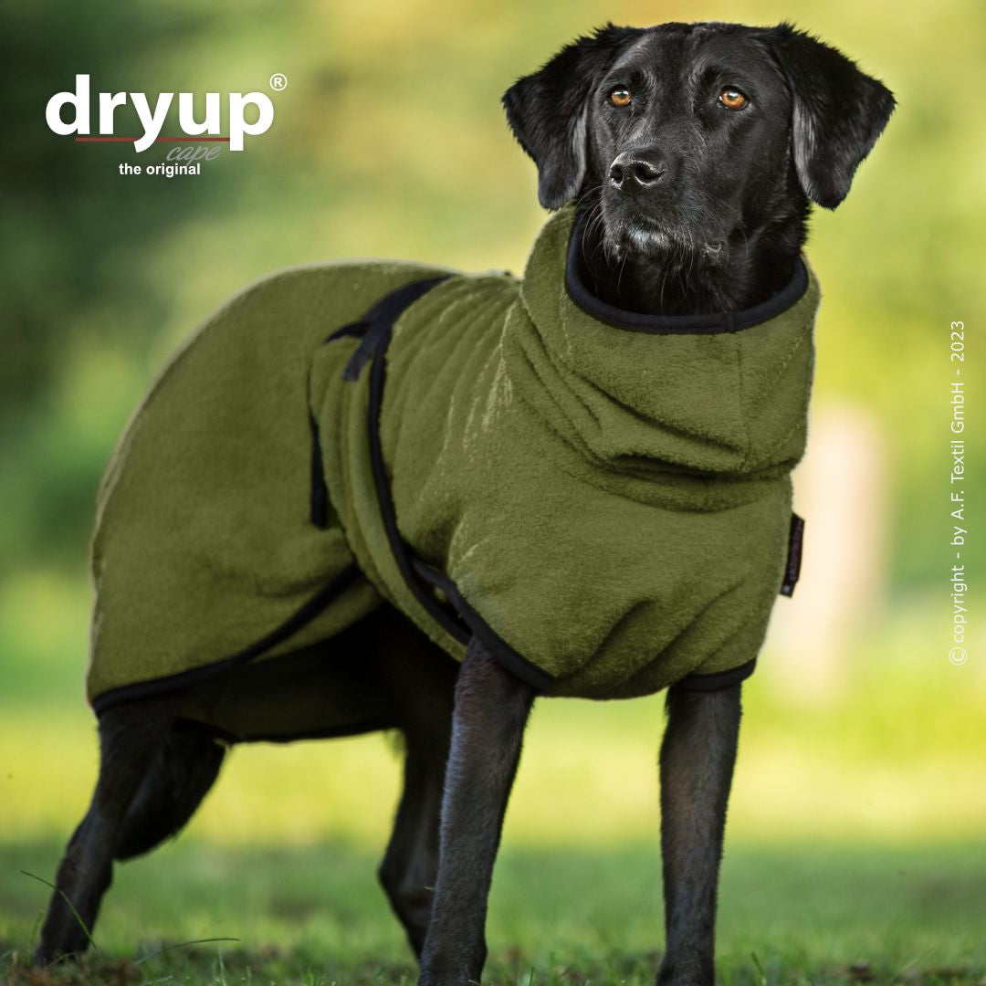 Dryup cape - Moss